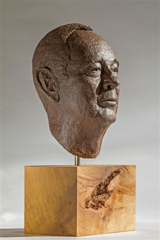 BusteJan